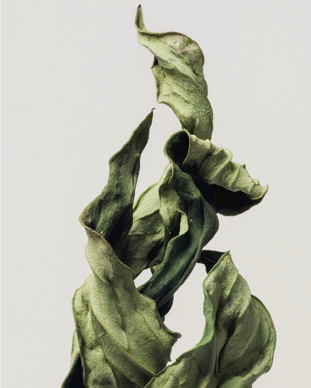 Diseño sin título-41